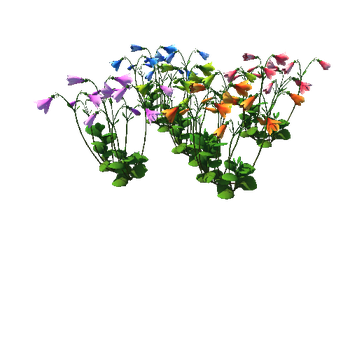 Flower_Linnaea borealis